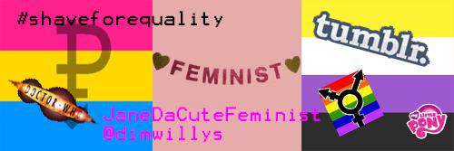 FeministFrog's profile banner image