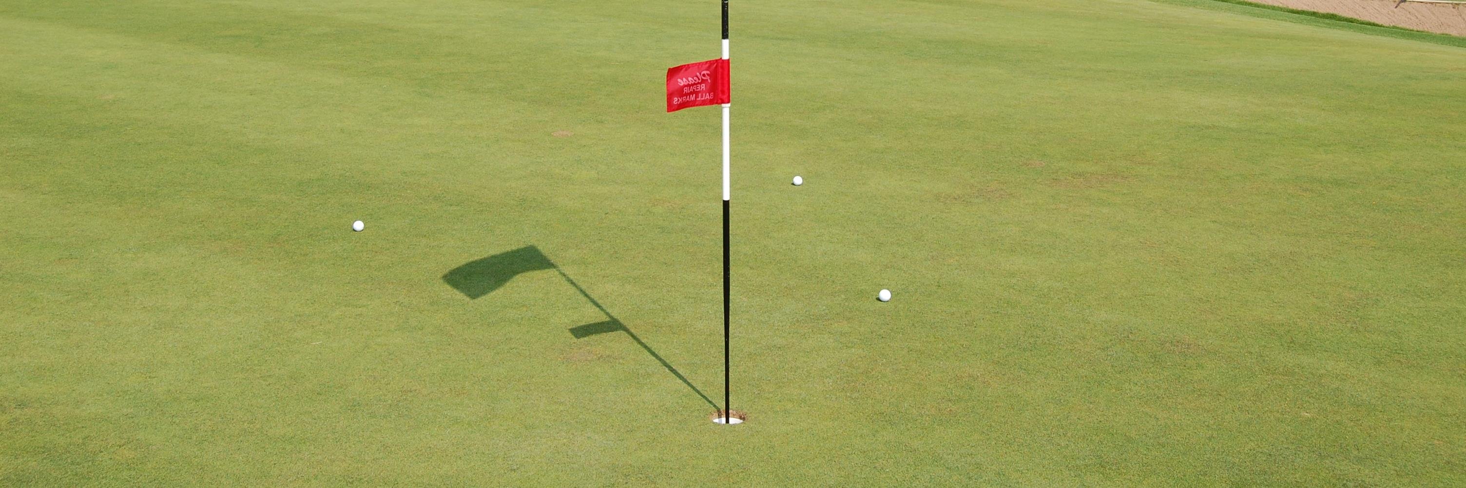 Filip Standaert banner