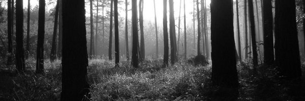 Hooltay Profile Banner
