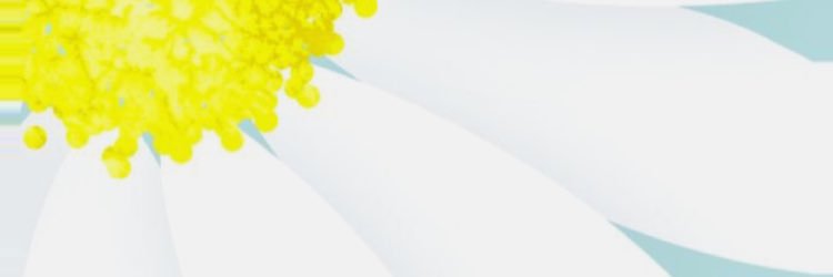 SpohrcheerLife's profile banner image