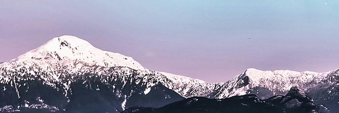 naadirP's profile banner image