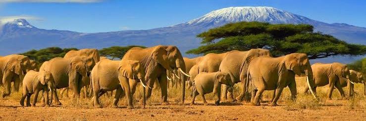 Hellen Maziku banner