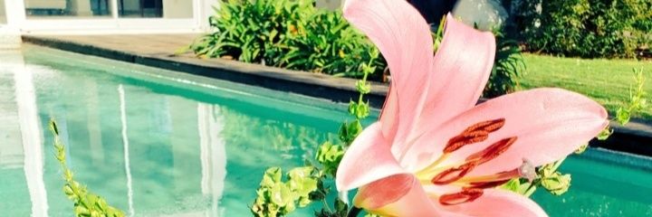 La Chilli🌺 banner