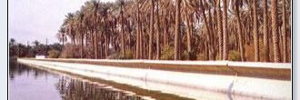 almjls4's profile banner image
