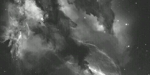 ElGatoRumbero's profile banner image