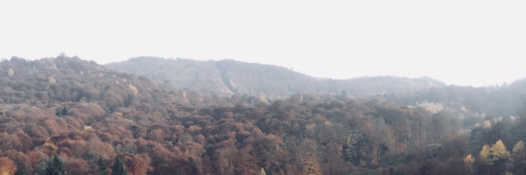 mariomocanu97's profile banner image