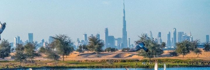 pranayam_ninod's profile banner image