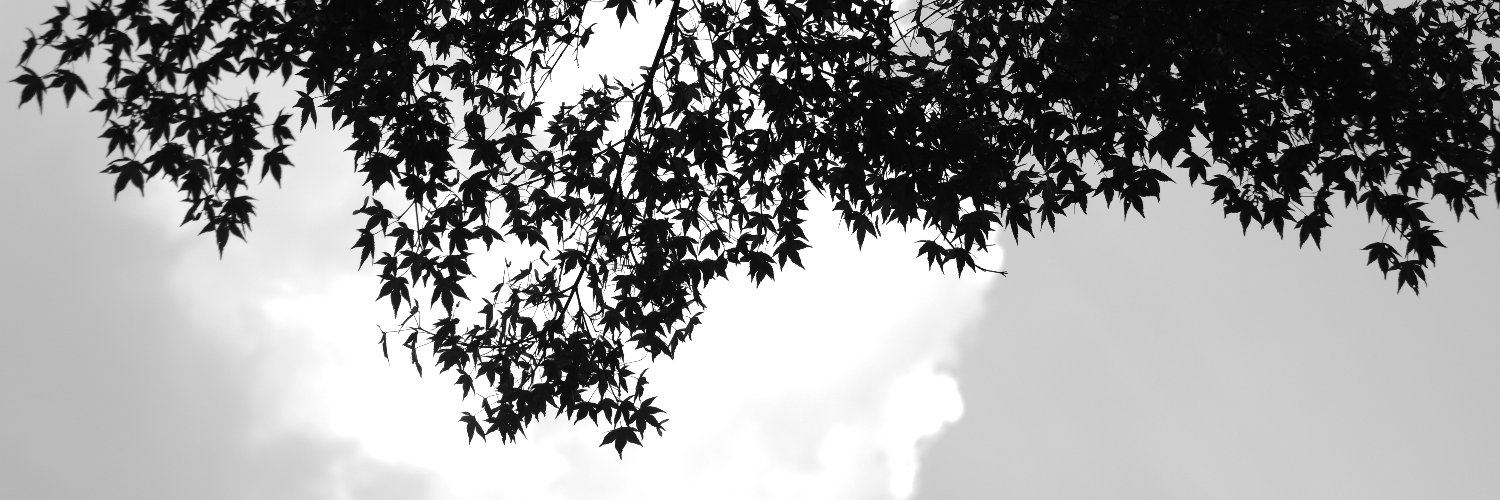 logmaid's profile banner image