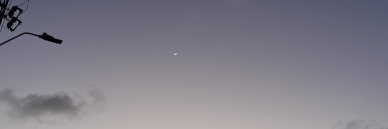 Lauariaas's profile banner image