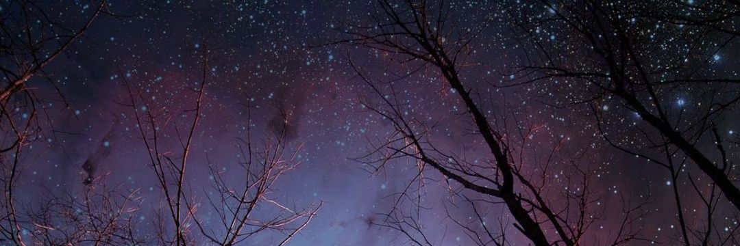 Larch218's profile banner image