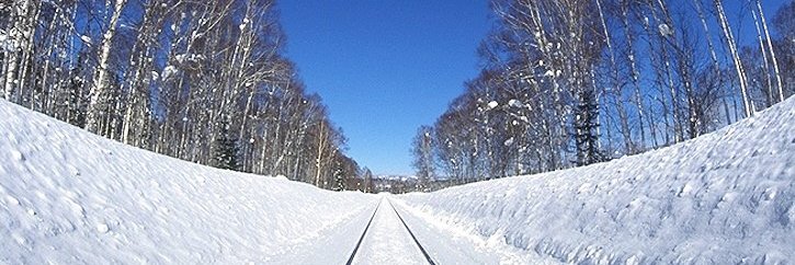 snowgrow's profile banner image