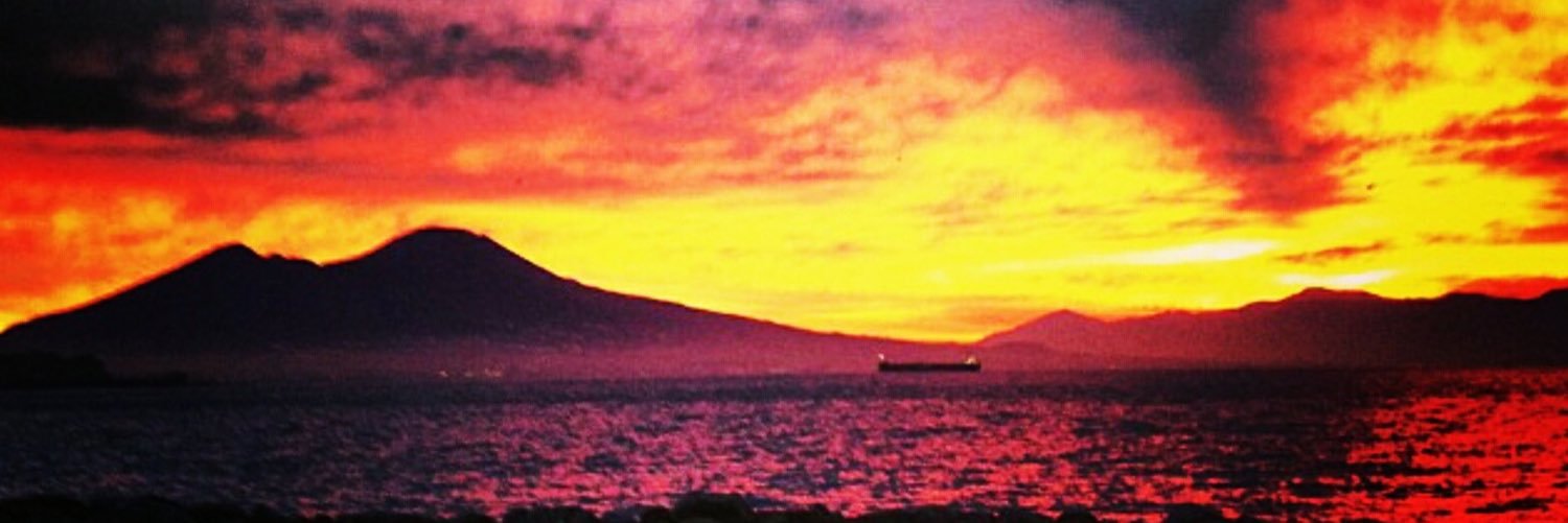 pisaniangelo's profile banner image
