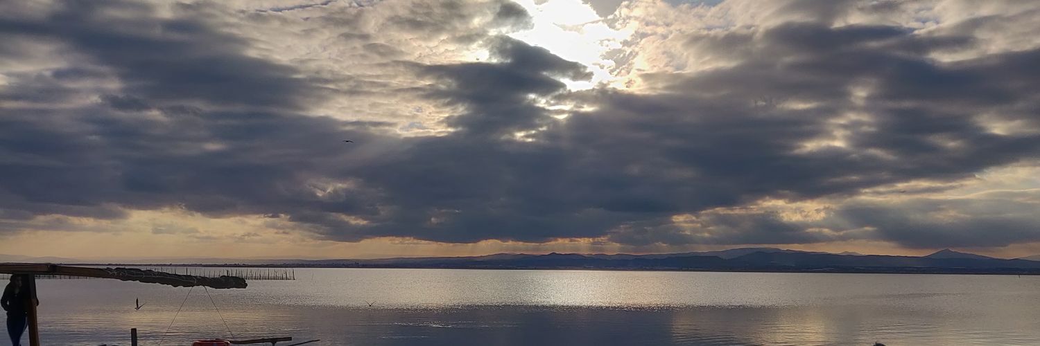 txlnwv's profile banner image