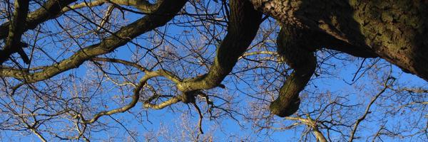 mefgardner Profile Banner