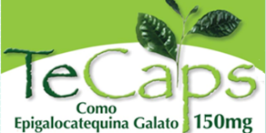 tecapsverde's profile banner image