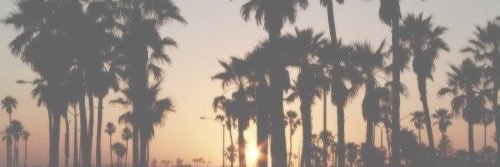 Adriest_'s profile banner image