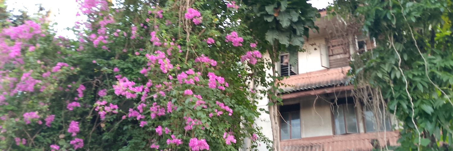 niekyandrei's profile banner image
