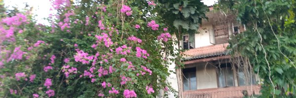 niekyandrei Profile Banner