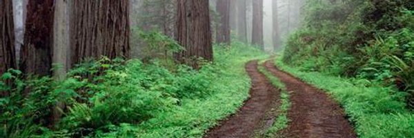 ediciones Profile Banner