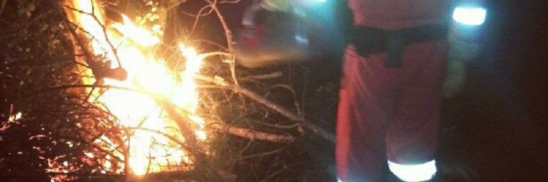 Costaskywalker banner