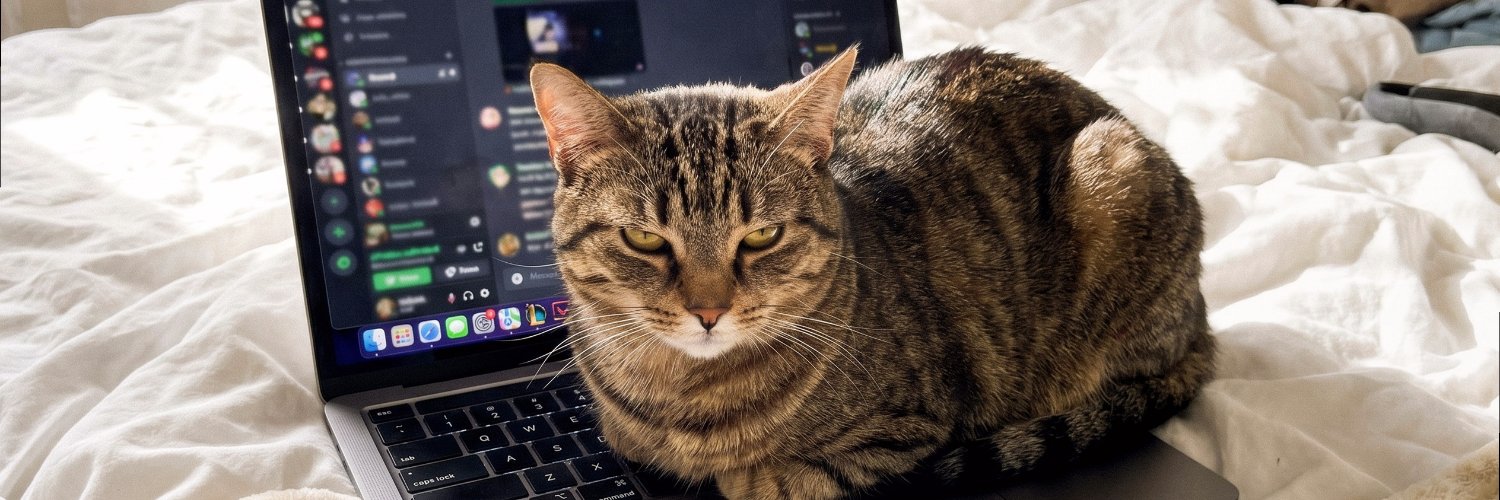 sofibloom724's profile banner image