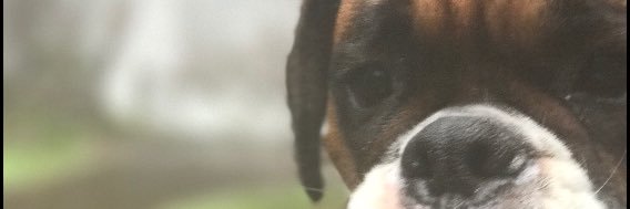 ryster14's profile banner image