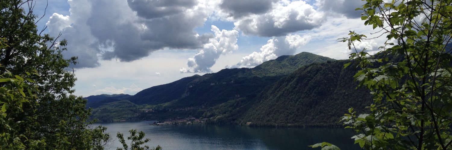 Stefano Radaelli banner