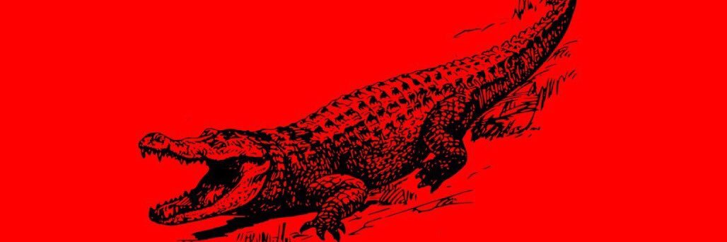 chadortis's profile banner image
