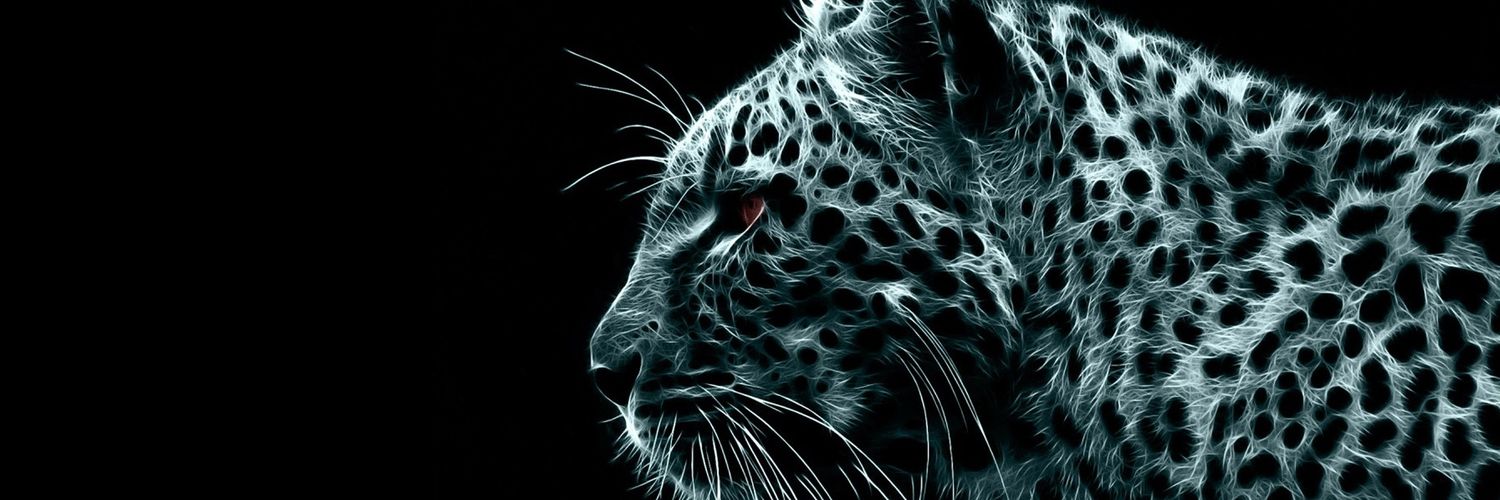 satishwhy's profile banner image