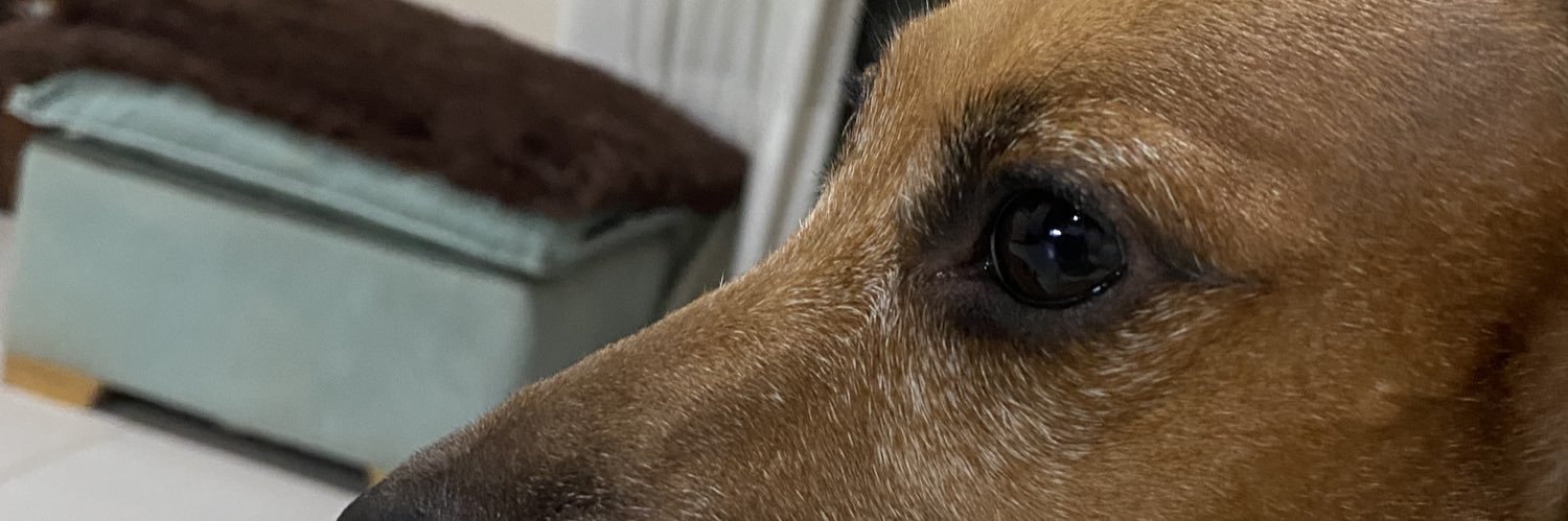 lenisvera_'s profile banner image