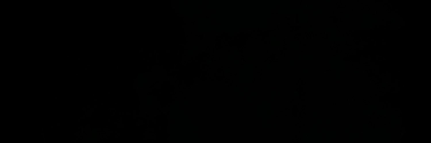 Dolo_joey's profile banner image