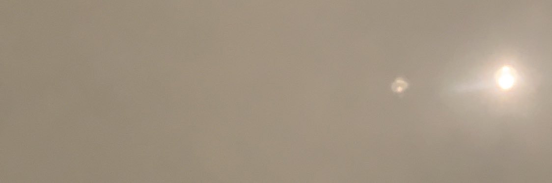 _AshleyMayer_'s profile banner image