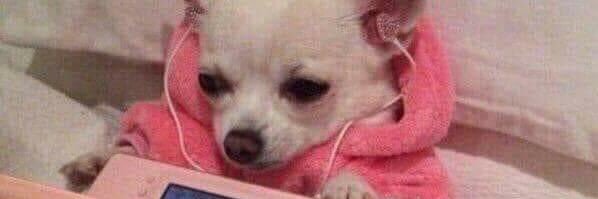 Ferrito Sabanero 🎄 banner