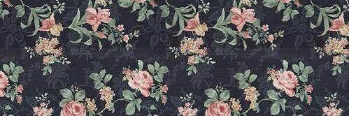 taaie's profile banner image