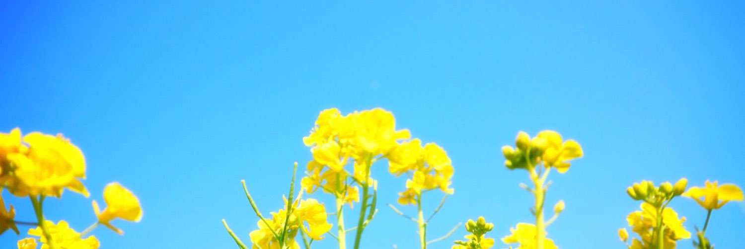 maru10031's profile banner image