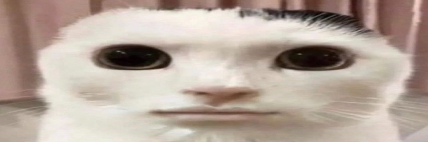 waradayoIIDX's profile banner image