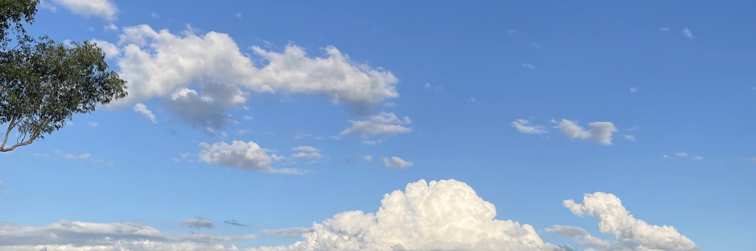 feiyu1999's profile banner image