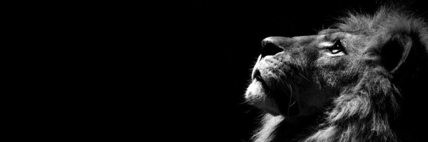 AZeigler_'s profile banner image