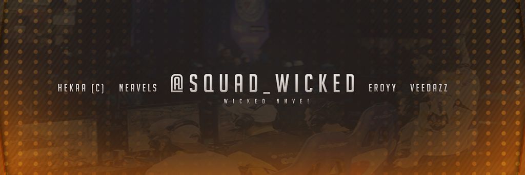 Team_FataLiz's profile banner image