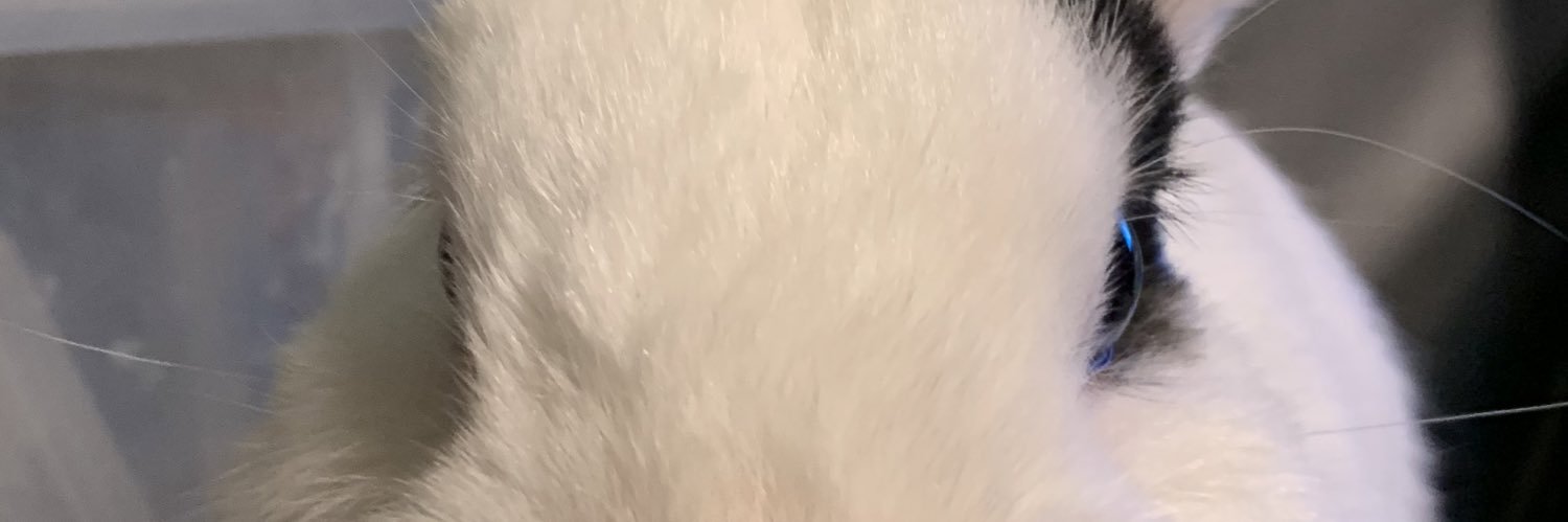 0928milky's profile banner image