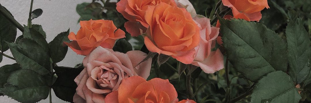__sekar68's profile banner image