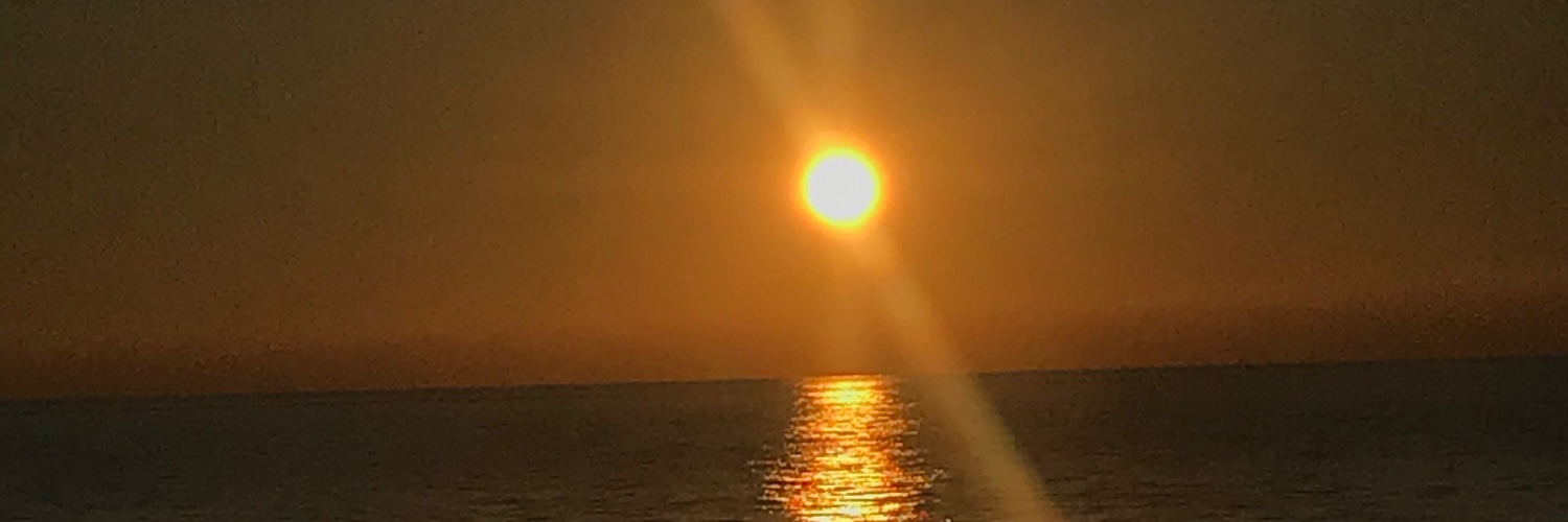 AlaveeZunaid's profile banner image