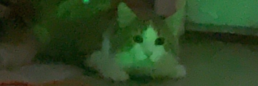 RuckmanTam's profile banner image