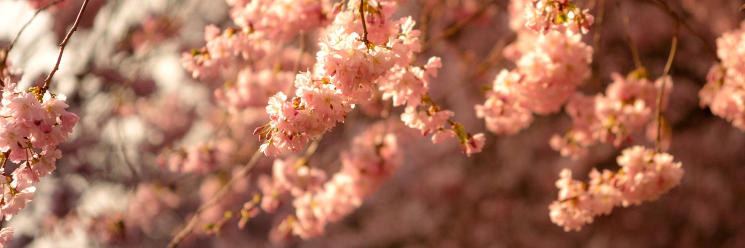 dramaa_princess's profile banner image