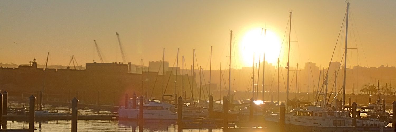 serdanielsd's profile banner image