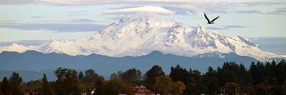 Election Fraud has dire Consequences banner