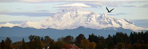 HaleyTessIsis Profile Banner