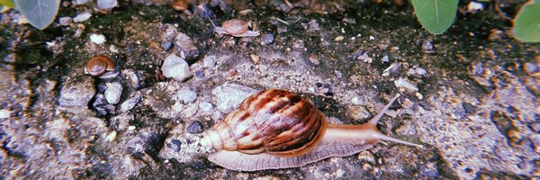 1997asp Profile Banner