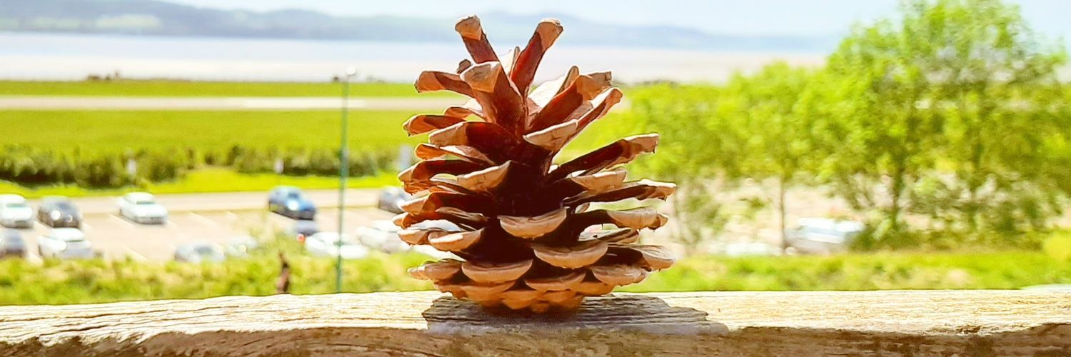 Apeanutboi's profile banner image