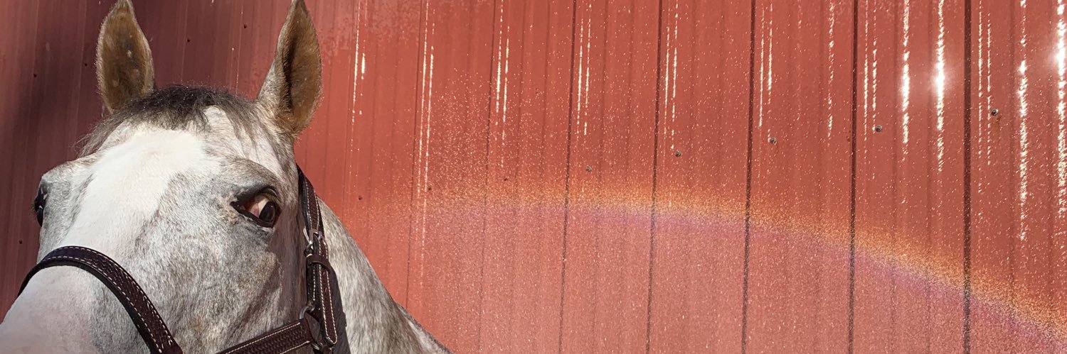 BeccaBakony's profile banner image